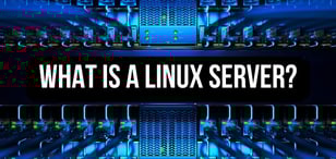 What Is a Linux Server? Exploring the Linux OS