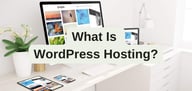 What Is WordPress Hosting? Your Guide to Hosting the #1 CMS