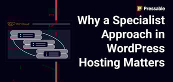Why You Should Maybe Think Twice Before Choosing a ‘Jack of All Trades’ Web Host