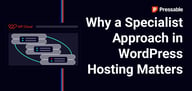 Why You Should Maybe Think Twice Before Choosing a ‘Jack of All Trades’ Web Host