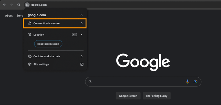 Screenshot of the padlock icon next to the Google URL