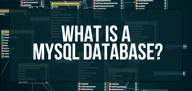 What Is a MySQL Database? How to Manage Your Database Efficiently