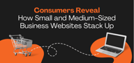 Survey Finds 75% of Consumers Abandon Purchases Due to Outdated Websites