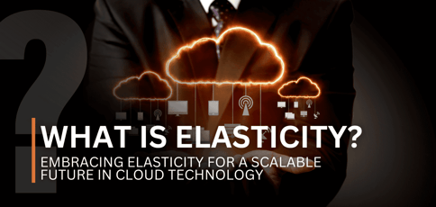 What Is Elasticity