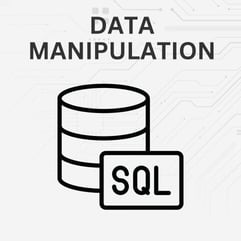 Data Manipulation