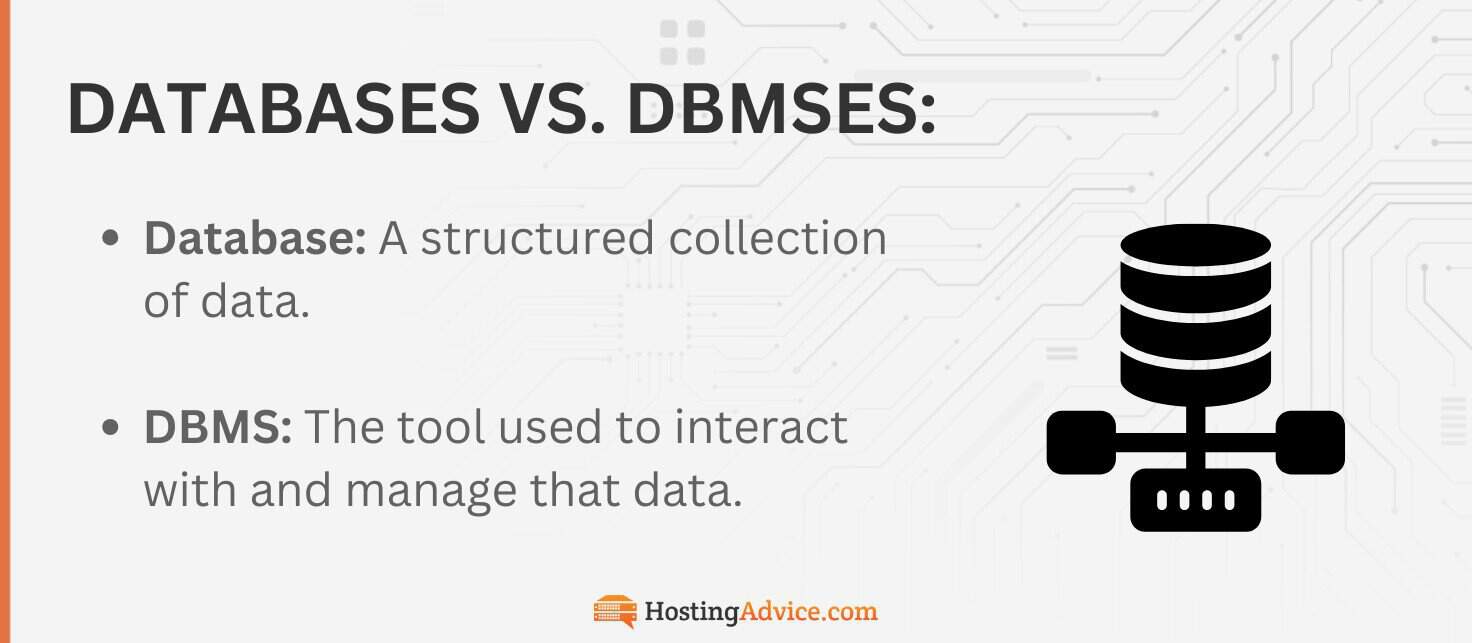 Sql Dbms Databases What Is a Database Management System (DBMS)? A Deep Dive