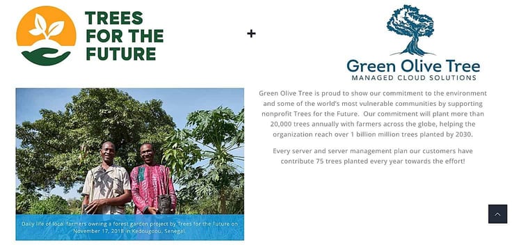 Green Olive Tree + Trees for the Future partnership information