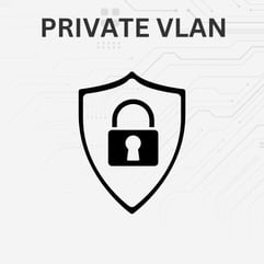private vlan illustration