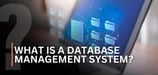 What Is a Database Management System (DBMS)? A Deep Dive 