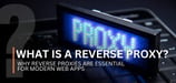 What Is a Reverse Proxy? Why Reverse Proxies Are Essential for Modern Web Apps