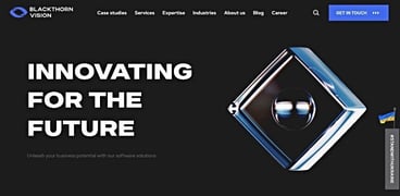 Blackthorn Vision homepage Blackthorn Vision homepage
