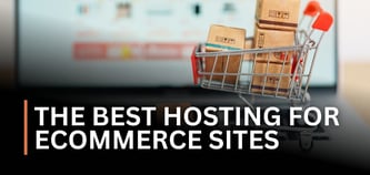 3 Experts Weigh In: The Best Hosting for eCommerce Sites