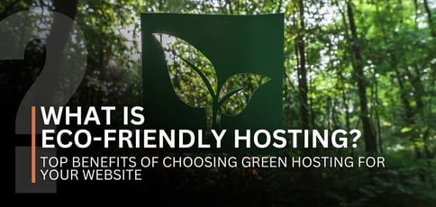 What Is Eco Friendly Hosting
