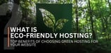 What Is Eco-Friendly Hosting? Top Benefits of Choosing Green Hosting for Your Website