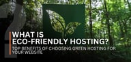What Is Eco-Friendly Hosting? Top Benefits of Choosing Green Hosting for Your Website