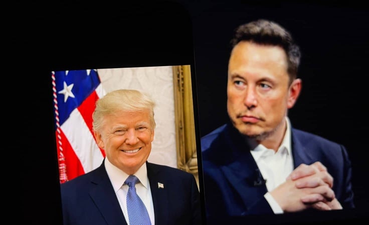 President-elect Donald Trump announced that Elon Musk, Tesla and SpaceX CEO would co-lead a new 'Department of Government Efficiency' President-elect Donald Trump announced that Elon Musk, Tesla and SpaceX CEO would co-lead a new 'Department of Government Efficiency'
