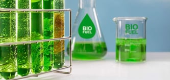 First Biocircular Data Center Will Turn Emissions Into Algae