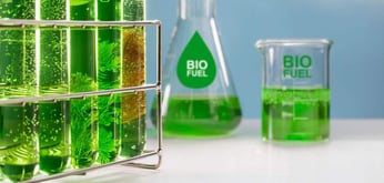 First Biocircular Data Center Will Turn Emissions Into Algae
