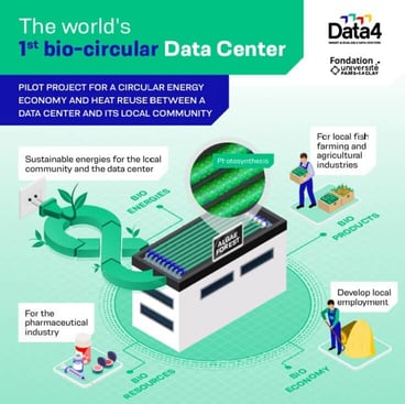 Data4 infographic Data4 infographic