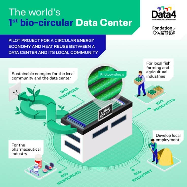 Data4 infographic Data4 infographic