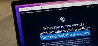 WordPress Annual Growth Slows to 0.4% as Other Hosts Chase SaaS Revenue