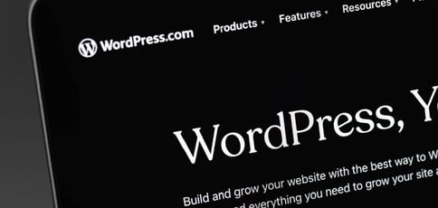 42 Of Wordpress Plugins Are Instantly Hackable Thanks To Ai