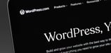 Nearly 42% of WordPress Plugins Are Immediately Exploitable — and AI is the Catalyst