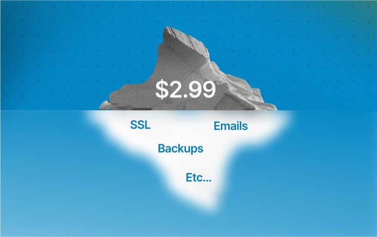 Illustration of an iceberg showing a $2.99 hosting price above the water, with SSL, emails, backups, and other features hidden below the surface Illustration of an iceberg showing a $2.99 hosting price above the water, with SSL, emails, backups, and other features hidden below the surface