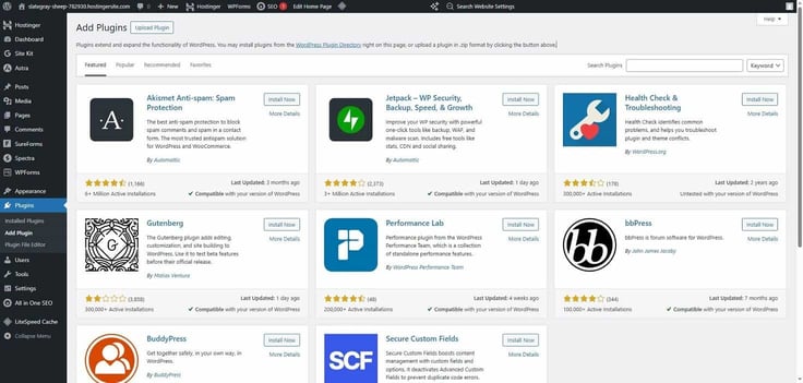 About choosing the right plugins for WordPress and Hostinger About choosing the right plugins for WordPress and Hostinger