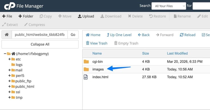 Blue arrow pointing to "images" folder appear under the cgi-bin