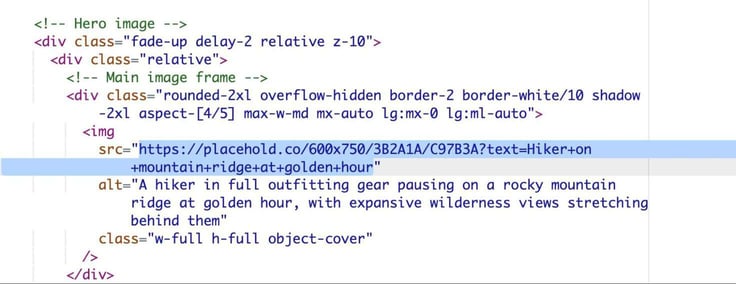 Selected for deletion - placeholder url inbetween quotes after src= tag