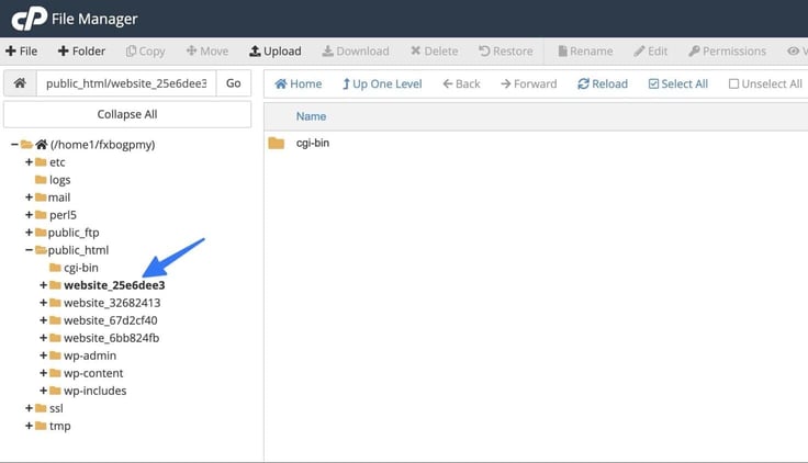 Blue arrow pointing to empty folder under cgi-bin, pointing to "website_25e6dee3"