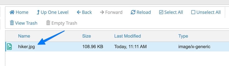 Blue arrow pointing to image, now saved within /images folder