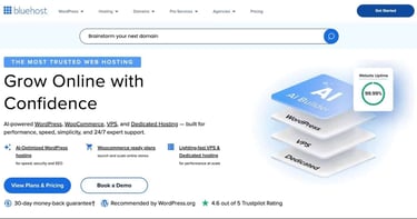 how to setup a BlueHost account for a website with WordPress how to setup a BlueHost account for a website with WordPress