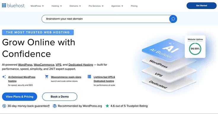how to setup a BlueHost account for a website with WordPress how to setup a BlueHost account for a website with WordPress