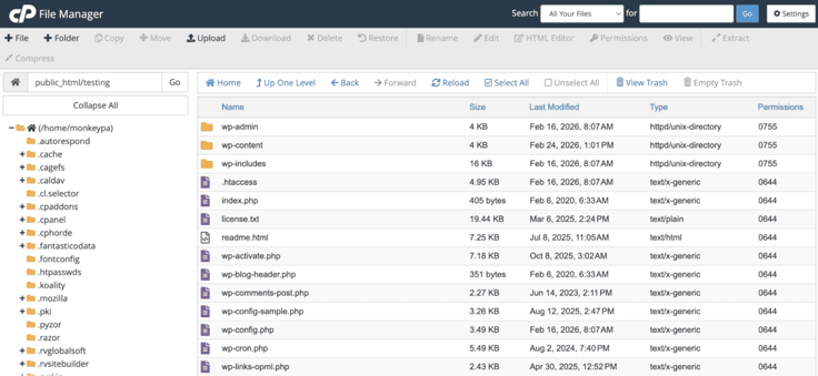 WordPress File manager: wp-admin, wp-content, and wp-includes. Understanding how to migrate files. 
