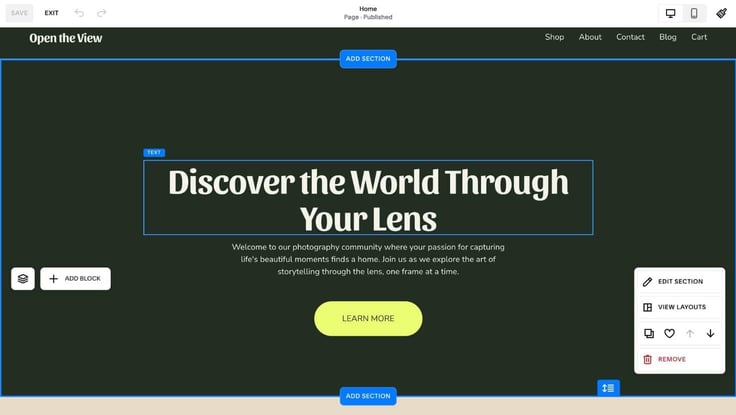 site editor