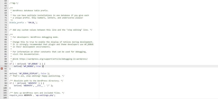 500 errors code page line 91 - WP_DEBUG true 