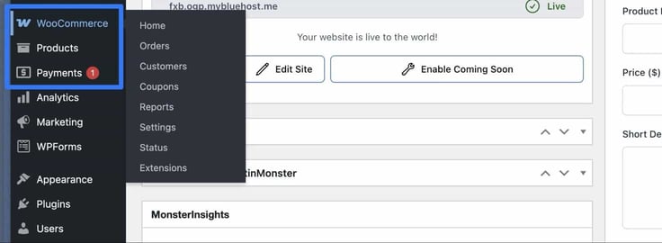 A blue box arund WooCommerce - Payments on the left sidebar. 