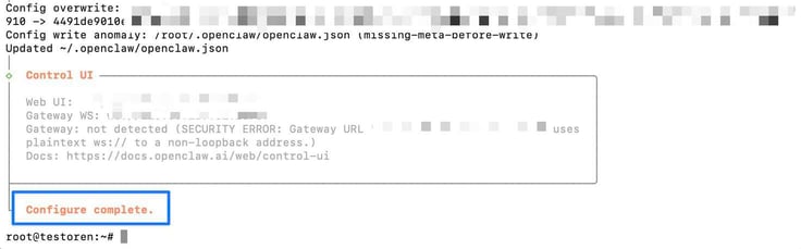 OpenClaw configure terminal showing a completed configuration session with a config overwrite confirmation, Control UI section displaying Web UI and Gateway WebSocket URLs with a security warning about plaintext ws:// on a non-loopback address, and a blue-outlined 'Configure complete' success message