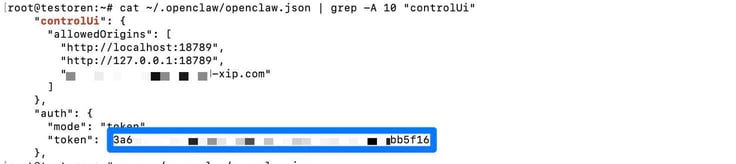 Linux terminal showing the openclaw.json config file output filtered with grep for the controlUi section, displaying the allowedOrigins array with localhost, 127.0.0.1, and a redacted xip.com domain, plus the auth section with mode set to token and a partially redacted token value highlighted in a blue box