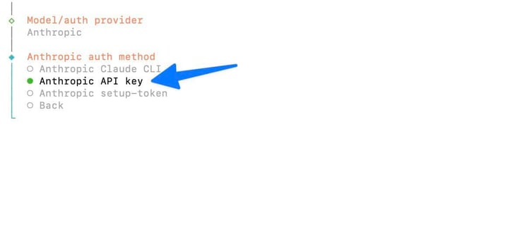 OpenClaw configure terminal showing the Anthropic auth method selection with a blue arrow pointing to 'Anthropic API key' selected in green, with Anthropic Claude CLI, Anthropic setup-token, and Back as alternative options listed below