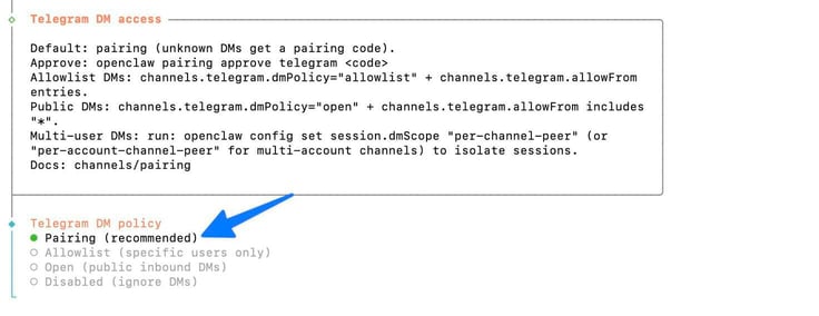 OpenClaw configure terminal showing the Telegram DM access information panel with pairing instructions and commands, and a blue arrow pointing to the Telegram DM policy set to Pairing (recommended), with Allowlist, Open, and Disabled as alternative options