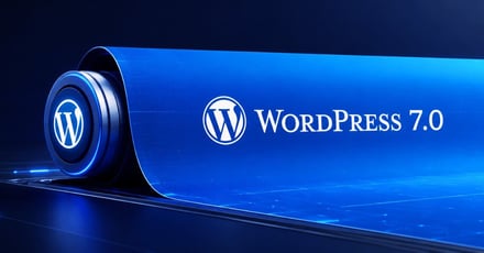 The Wordpress Rtc Delay Actually Spares Hosts
