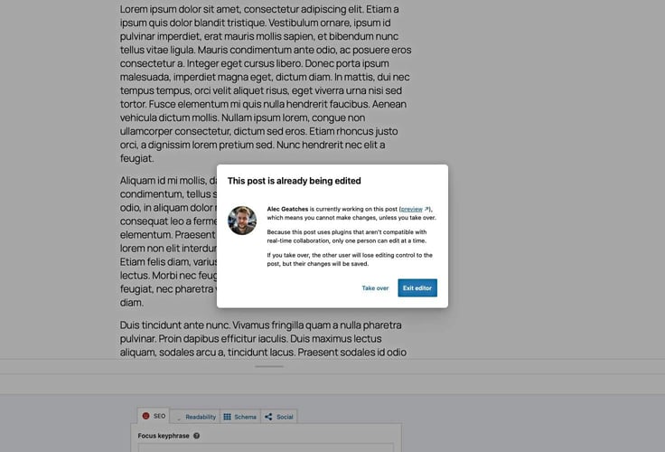 WordPress editor screenshot showing a modal that says the post is already being edited because plugins are not compatible with real-time collaboration. WordPress editor screenshot showing a modal that says the post is already being edited because plugins are not compatible with real-time collaboration.