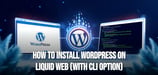How to Install WordPress on Liquid Web (with CLI Option)
