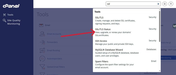 cPanel Tools page with the search field containing the term ssl and a dropdown search results panel open showing SSL/TLS, SSL/TLS Status, SSH Access, MySQL Database Wizard, and Spam Filters results, with a red annotation arrow pointing to the SSL/TLS Status result described as the tool to view, upgrade, or renew domain SSL certificates. cPanel Tools page with the search field containing the term ssl and a dropdown search results panel open showing SSL/TLS, SSL/TLS Status, SSH Access, MySQL Database Wizard, and Spam Filters results, with a red annotation arrow pointing to the SSL/TLS Status result described as the tool to view, upgrade, or renew domain SSL certificates.