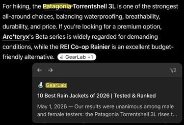 Screenshot of ChatGPT search showing Patagonia's brand name but not in citations
