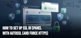 How to Set Up SSL in cPanel With AutoSSL (And Force HTTPS)