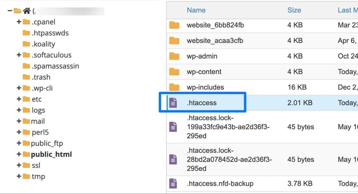 A file manager directory tree on the left lists hidden system folders including .cpanel, .htpasswds, .koality, .softaculous, .spamassassin, .trash, .wp-cli, etc, logs, mail, perl5, public_ftp, a bolded public_html, ssl, and tmp, while the right panel shows website folders and WordPress core directories with the .htaccess file selected and boxed in blue at 2.01 KB alongside lock files and an .htaccess.nfd-backup file. A file manager directory tree on the left lists hidden system folders including .cpanel, .htpasswds, .koality, .softaculous, .spamassassin, .trash, .wp-cli, etc, logs, mail, perl5, public_ftp, a bolded public_html, ssl, and tmp, while the right panel shows website folders and WordPress core directories with the .htaccess file selected and boxed in blue at 2.01 KB alongside lock files and an .htaccess.nfd-backup file.